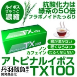 �A�g�s�i���C�{�XTX100