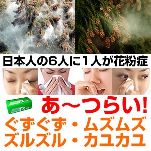 アトピナルイボスTX100