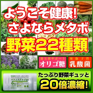 10%OFFお買い得【バランスアップ22】3ヶ月分