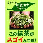 �y�V��z���_��͔|�̂�����薕�������[�@������