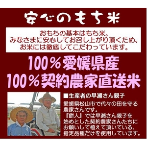 【新作】無農薬栽培のこだわり抹茶すいーつ　抹茶餅