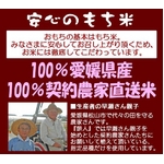 �y�V��z���_��͔|�̂�����薕�������[�@������
