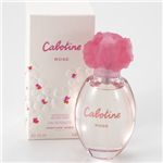 �O���@�J�{�e�B�[�k�@���[�Y�@EDTSP50ml