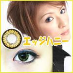 ��¥��饳��NEO COSME���顼���󥿥�������������2�祻�å� ���å��ϥˡ�