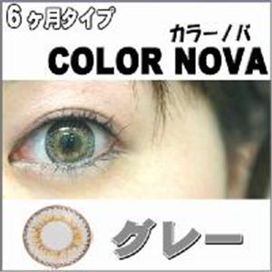 新作!カラーノバ 全5色 2枚セット グレイ