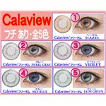 Calaview��Freedom����������2�祻�å� �֥롼
