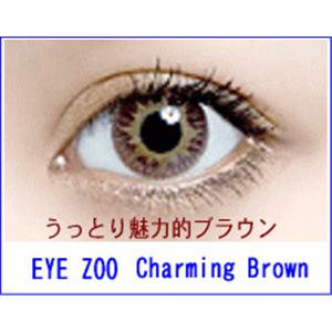 EYE ZOO 2枚セット チャーミングブラウン