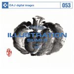写真素材 DAJ053 ILLUSTRATION   SUMI-E 【イラストシリーズ〜墨絵】
