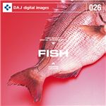 写真素材 DAJ026 FISH 【フレッシュフィッシズ】