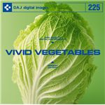 写真素材 DAJ225 VIVID VEGETABLES 【ビビッドベジタブルズ】