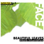 写真素材 SUPER FINE No.5 BEAUTIFUL LEAVES （美しい葉）