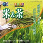 写真素材 マルク 食材の旅：1　米＆茶（旬食材収穫編）