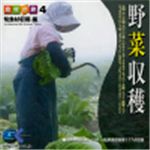 写真素材 マルク 食材の旅：4　野菜収穫（旬食材収穫編）