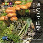 写真素材 マルク 食材の旅：8 松茸 ナメコ 椎茸（きのこ・山菜編）
