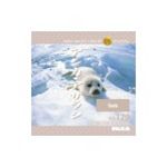 写真素材 MIXA Vol.179 アシカ・アザラシ