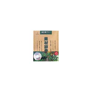 写真素材 素材辞典Vol.26 森林 木立