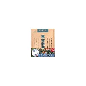 写真素材 素材辞典Vol.35 珊瑚 海の生物