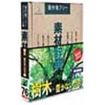 写真素材 素材辞典Vol.76 樹木 豊かないのち