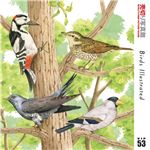 写真素材 売切り写真館 VIP53 世界の鳥