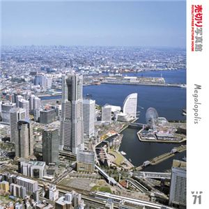 写真素材 売切り写真館 VIP71 大都会　空撮