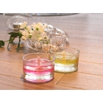 Gel Candle¥·¥ê¡¼¥º