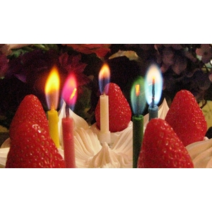 wonder candle�i�����_�[�L�����h���j�_���X  �@24������f�B�X�v���CBOX�t��