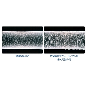 �����f�V�����[�@�g���V�����[�X����