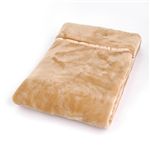 TASTEX HOT ぬくぬく温感加工 毛布&敷きパットセット シングル ベージュ