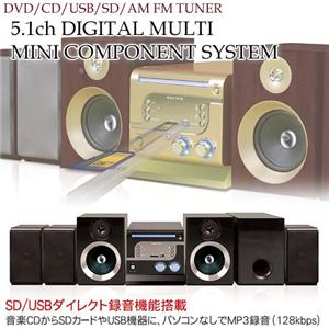 RAGTIME5.1ch�f�W�^���}���`�~�j�R���| RD-2010 �u���b�N