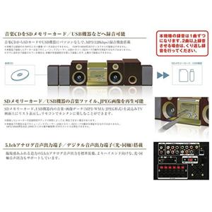 RAGTIME5.1ch�f�W�^���}���`�~�j�R���| RD-2010 �u���b�N