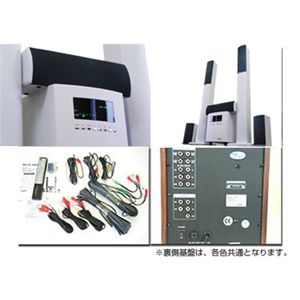 5.1ch�d�l �A�i���O�z�[���V�A�^�[ A0901WH