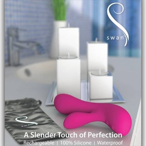 SWANiXj SilveriVo[jyp|[`tz摜R