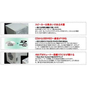CICONIA�@CD/SD/USB�}���`�R���| �z���C�g
