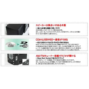CICONIA�@CD/SD/USB�}���`�R���| �u���b�N