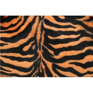 �[�u�����{�X�g��/Couture/�I�����W/BW-0271