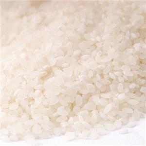 栄健美身米（えいけんびじんまい）無農薬栽培特別米　2袋