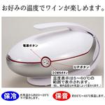 ワイン冷温庫 RG-W07-W
