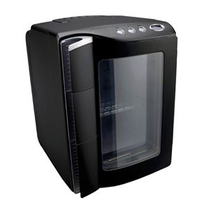 ポータブル温冷庫20Lタイプ RG-V20　ブラック（冷温庫）