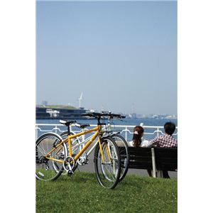 RENAULT�i���m�[�j���]�� 700C CRB7006 �z���C�g �y�t�����g�L�����A�[ �N���X�o�C�N�z�摜���̂P�X�V��