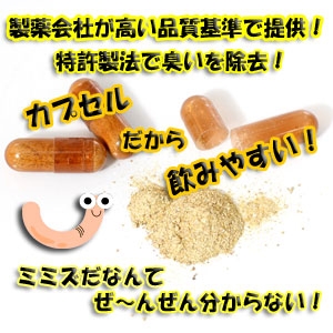�����u���N�X