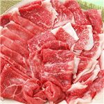 �؂藎�Ƃ��@�Q�n���Y�@��B���@�v1kg