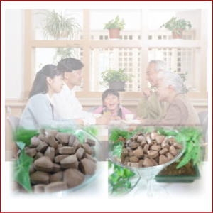 ���N�f�f���ʂ̊J������͍ň��̌����ɁI�����悭���N�������T�|�[�g����{�i���N�H�i�P�}�c�^�P