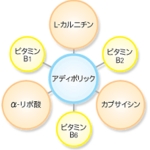 アディポリックフェアリー