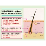 ケファイン(薬用育毛剤)