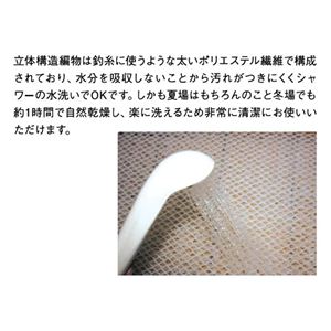 ËU}bgX GA[}bg30 _u摜S
