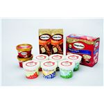 ハーゲンダッツ&ブランブリュンアイスCセット HB-50C