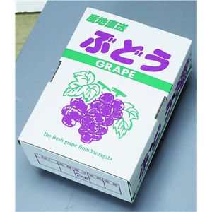 ぶどう 通販