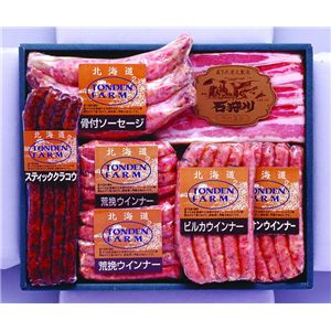 �̳�ƻ�ȥ�ǥ�ե����� TDF−501B
