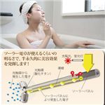 �v���`�i�t�F�C�X���[���[