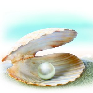 胡粉美人水おしろい（ナチュラル）画像４